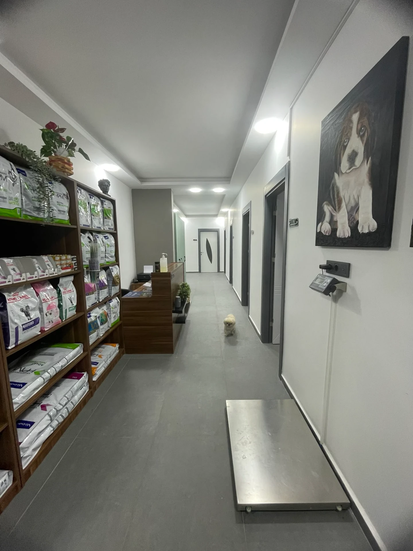 Bohem Klinik Galeri