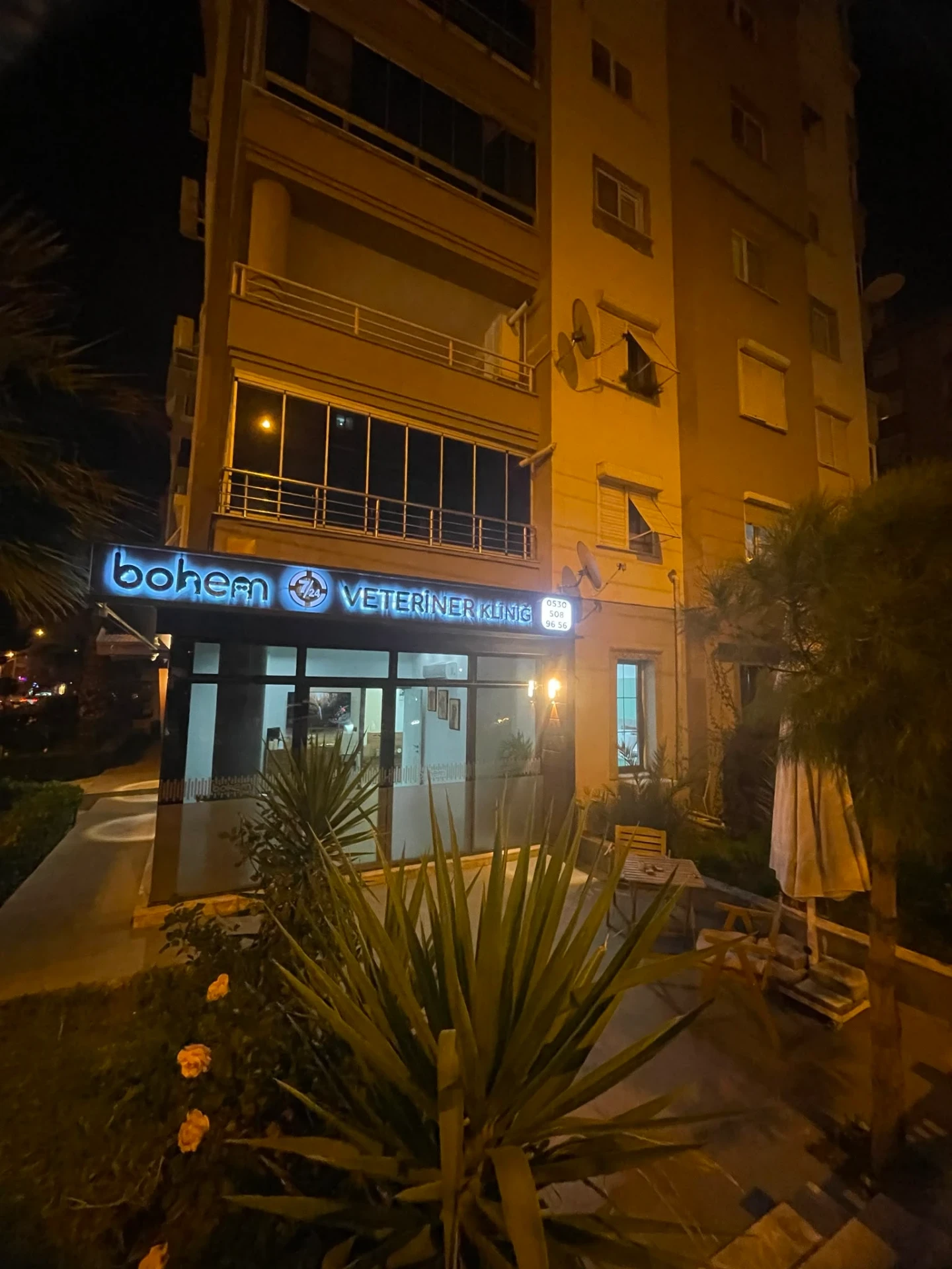Bohem Klinik Galeri